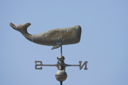 A sperm whale on a weather vane I found atop an old house near where I live