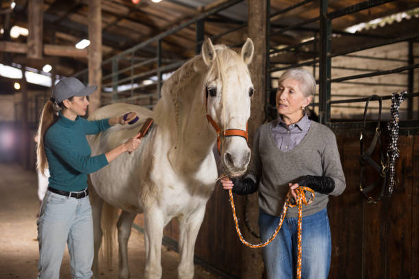 istock Women grooming horse in stable 1451567431