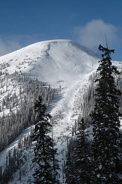 Esqui e Snowboard faixas no Colorado Backcountry Pico - fotografia de stock