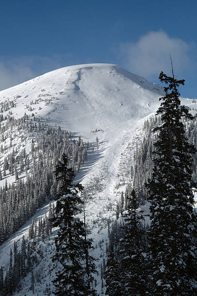Cтоковое фото Катание на лыжах и сноуборде отслеживает по Colorado зимней природы Латвии Пик
