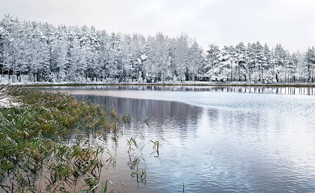 istock Winter lake tucked among the forest 145157870
