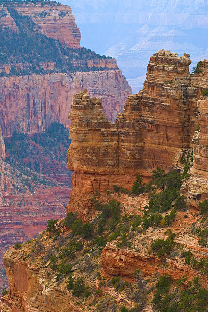 Canyon View Canyon views off of the road to Cape Royal on the North Rim of the grand Canyon cape royal stock pictures, royalty-free photos & images