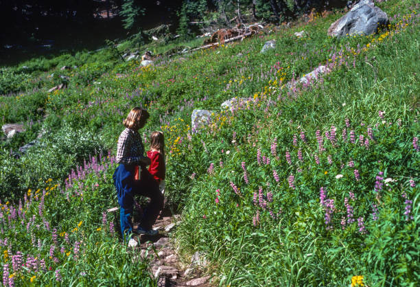 Crater Lake National Park - Castle Crest Wildflower Walk - 1983 stock photo