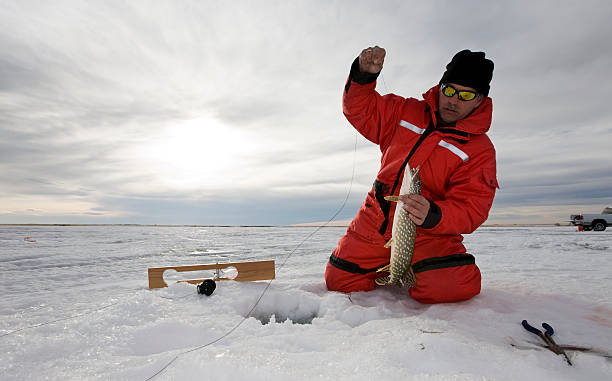 Ice fishing A man with a northern pike on a frozen lake man ice fishing stock pictures, royalty-free photos & images