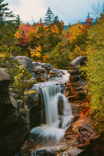 istock Screw Auger Falls - Grafton Notch State Park, Maine 1451597941