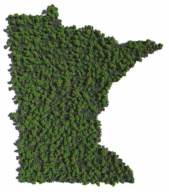 Minnesota in Trees stock photo