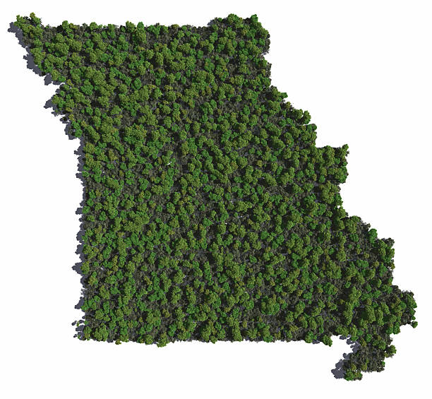 Missouri in Trees stock photo