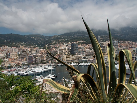 A view from behind cactus plant of harbor, Monaco architectures, cloudy sky and mountain