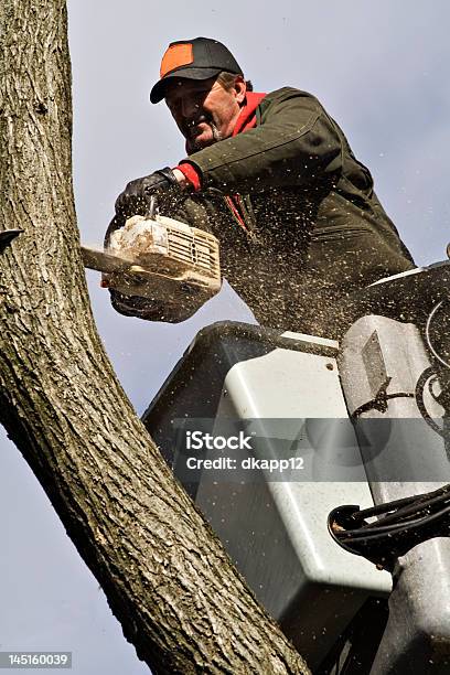 Albero Di Lavoro - Fotografie stock e altre immagini di Albero - Albero, Rimuovere, Pericolo