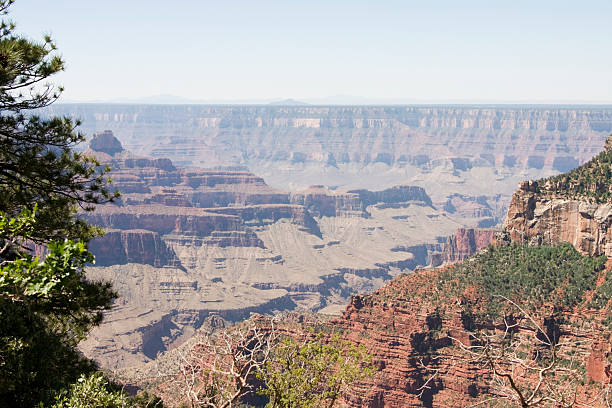 istock Grand Canyon View from North Rim 145160242