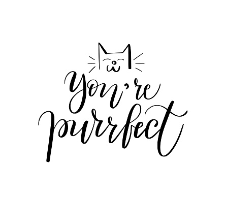 Hand-drawn You are perfect calligraphy. Cute cat-themed cheering message