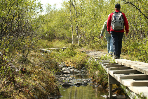 Two persons walking in the swedish nature over a small bridge.