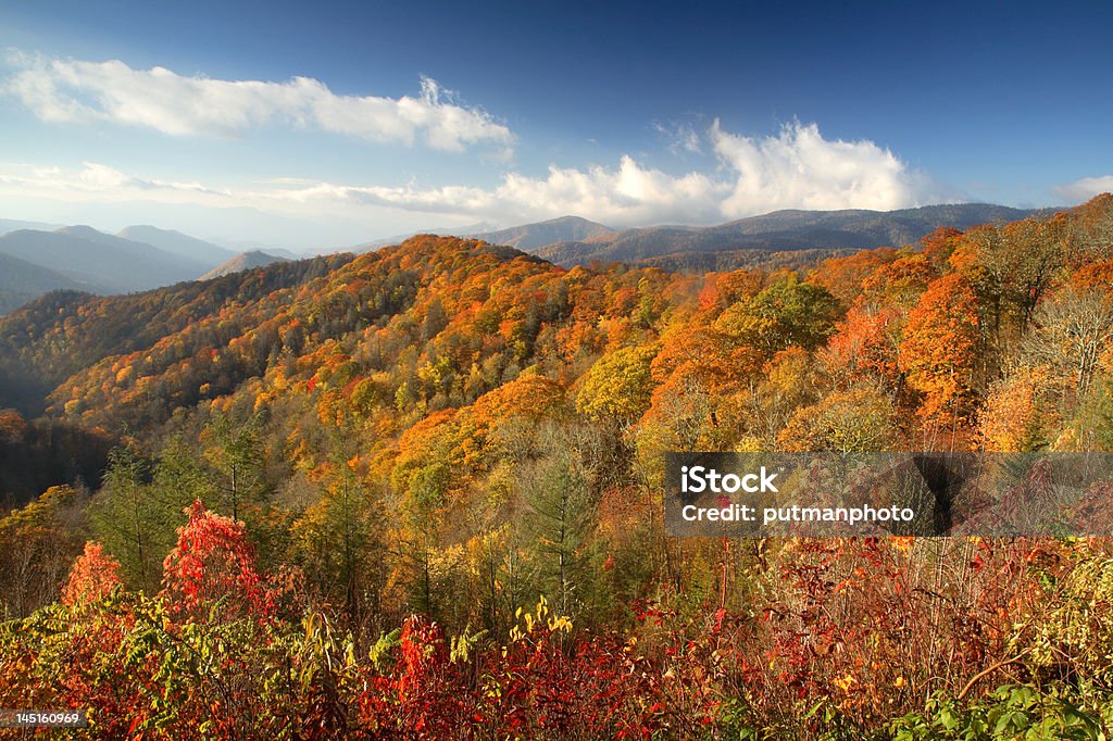 Осень в Smokies - Стоковые фото Горизонтальный роялти-фри
