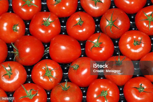 Frische Field Tomaten Stockfoto und mehr Bilder von Agrarbetrieb - Agrarbetrieb, Antioxidationsmittel, Eigen-Anbau