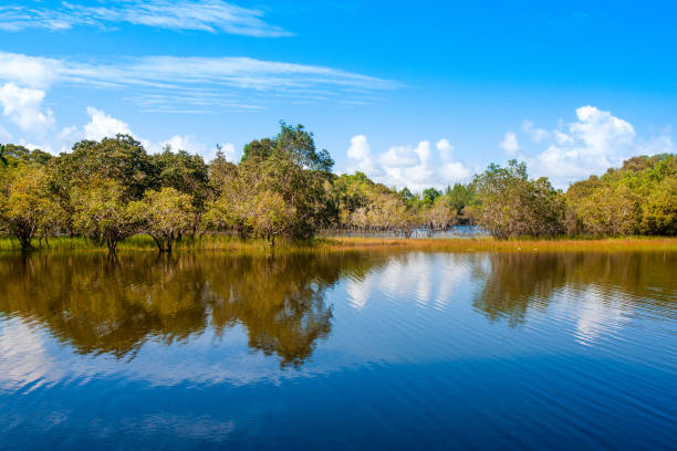 istock Beautiful landscape with a tropical lake 1451613385
