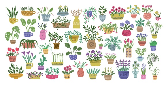Big set of charming plants and flowers in flowerpots. Houseplants concept. Bundle of decoration clip art isolated. Vector hand drawn cartoon illustration.