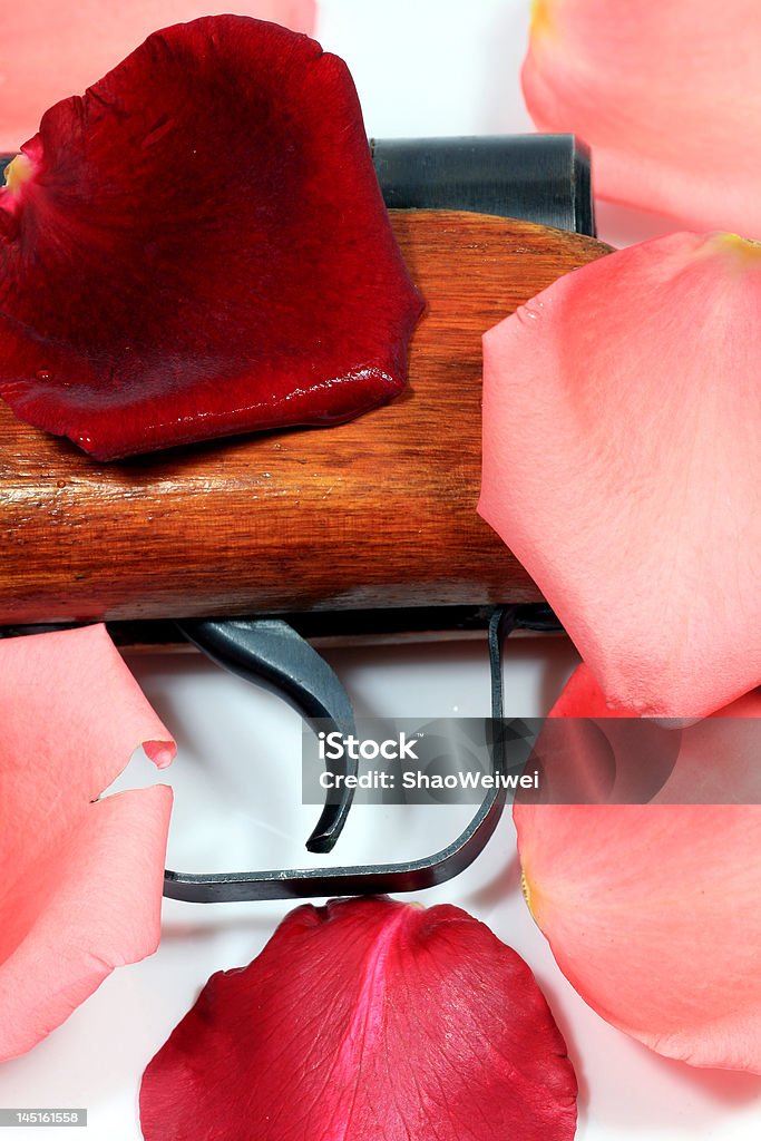 Love Supersede Fight Rose Petal with Gun Backgrounds Stock Photo