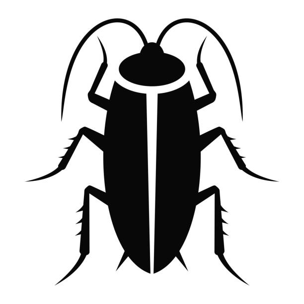 Cockroach simple flat icon vector Cockroach simple flat icon vector insecticide stock illustrations