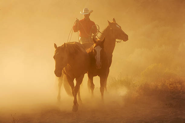 istock Rounding Up the Horses 145163074