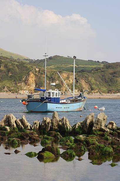 istock Fishing boat with rocks and seagull. 145163104