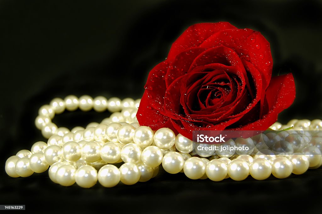 Romantic Display romantic display of a red rose and pearls Affectionate Stock Photo