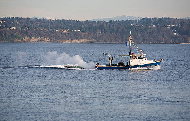 Fishing boat on Puget Sound stock photo