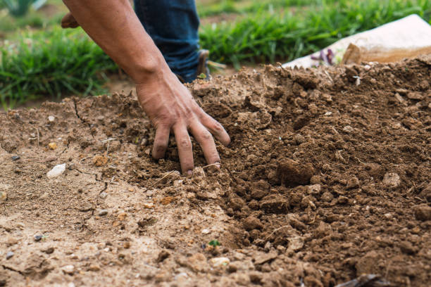 istock Hand of an unrecognizable person working the land. 1451638488