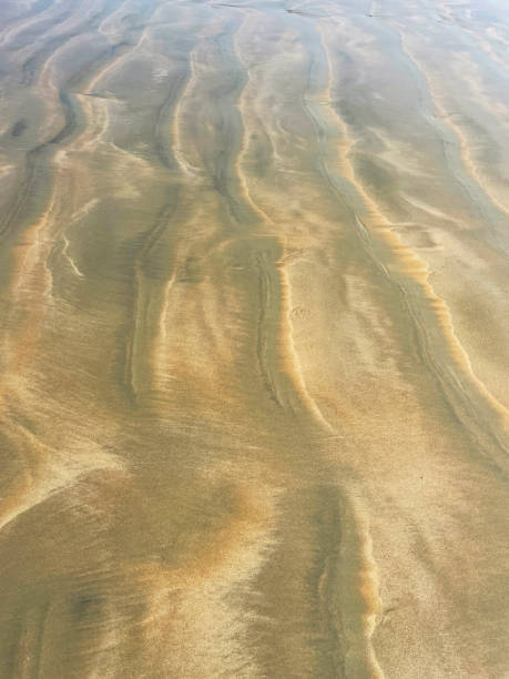 istock Full frame image of beach sand ripples wallpaper background, water sand pattern, tide and sea waves lapping shore, motion of sea, elevated view, copy space 1451644094