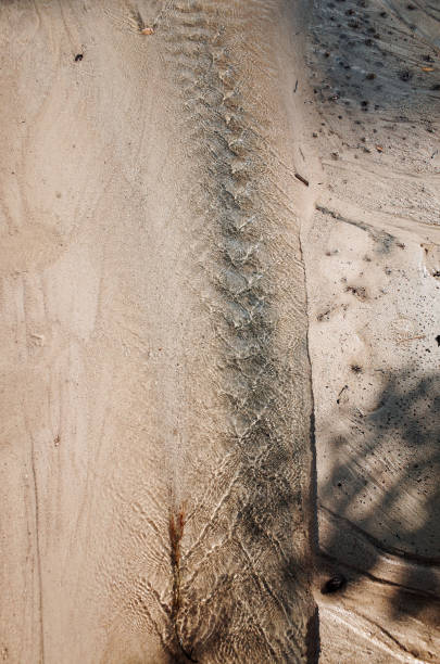 istock waterways like snake scales 1451646920