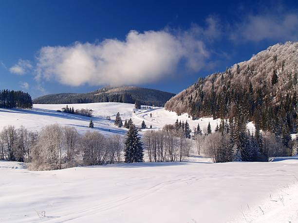 Winter scenery stock photo