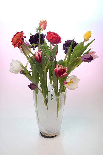 istock Flowers In An Ice Vase 145164933