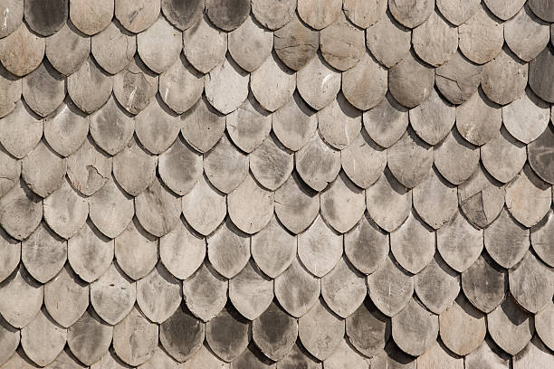 istock Wooden roof texture 145164962