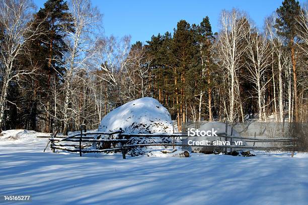 Hayrick In Alatai At Winter Stock Photo - Download Image Now - Agriculture, Beauty In Nature, Blossom