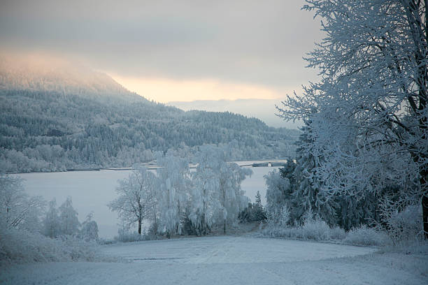 Coated Landscape at Christmas stock photo