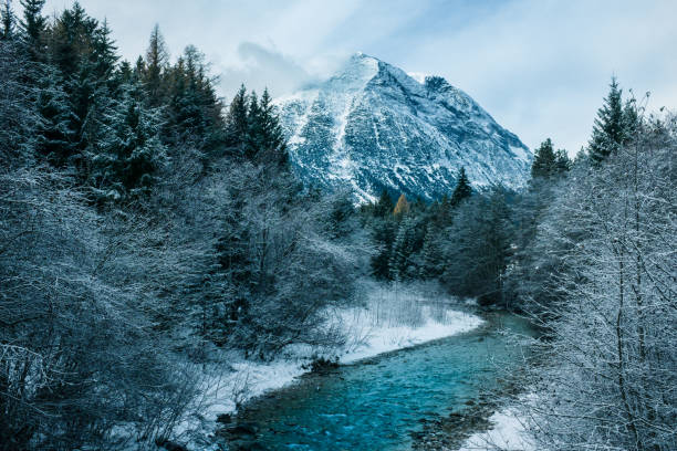 Winter landscape by the mountain stream stock photo