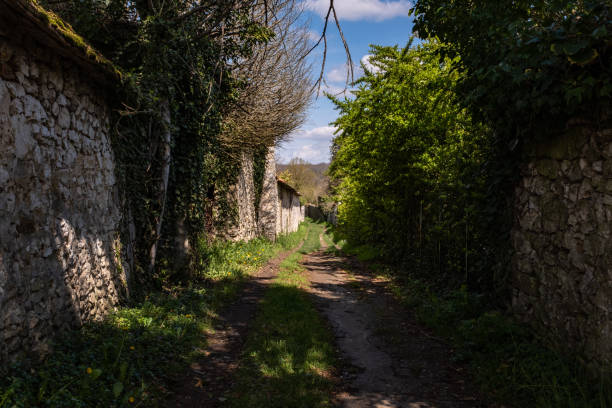 istock Trail along a limestone garden wall covered with shrubs 1451677942