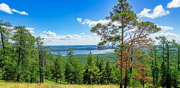 hermosa vista de los montes urales boscosos - south ural fotografías e imágenes de stock