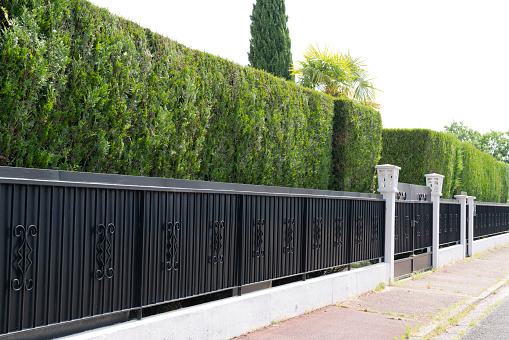 green hedge Metal Fence of residential house luxury
