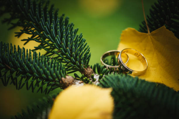 Wedding Rings as a symbol of love