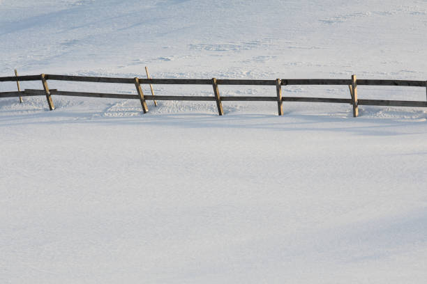 istock Snowy winter day scenic landscape 1451697901