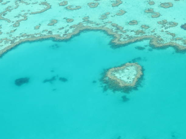 istock The Great Barrier Reef from the top 1451697973