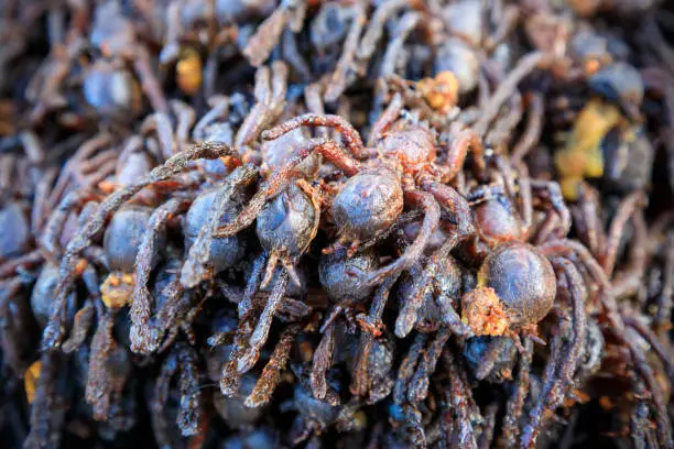 Fried bugs and insects are a common street food snack in Thailand and Cambodia.