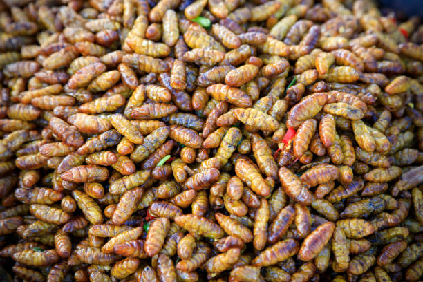 Fried bugs and insects are a common street food snack in Thailand and Cambodia.
