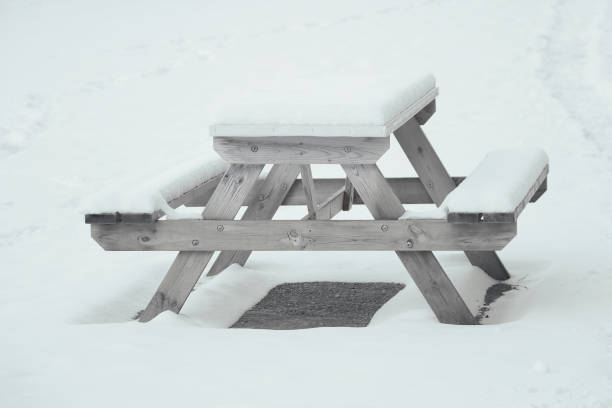 istock An empty bench and table in the park are covered with snow. 1451699005
