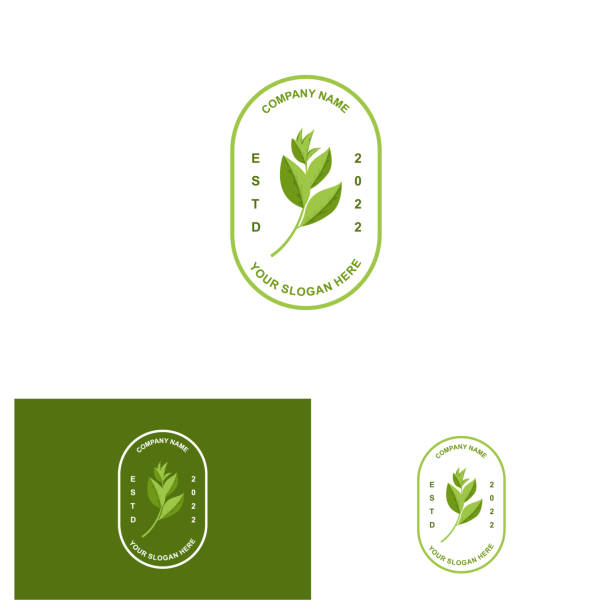 векторная иллюстрация зеленого растения маття логотип, выполненный в виде напитка маття или десерта маття, дизайн зеленого чая - green tea tea scented mint stock illustrations