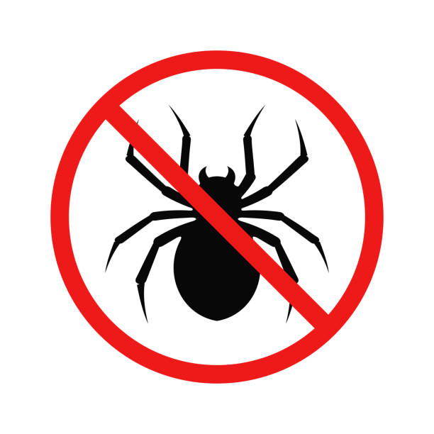 нет символа паука. нет вектора символов насекомых - silhouette spider tarantula backgrounds stock illustrations