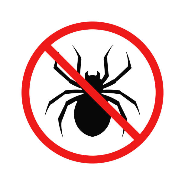 Simple Spider Sign 40,700+ Spider Sign Stock Illustrations, Royalty-Free Vector Graphics ...