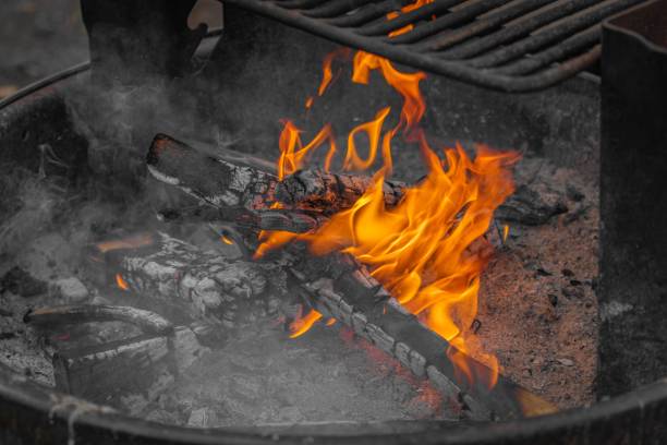 istock Closeup shot of burning fire 1451703934