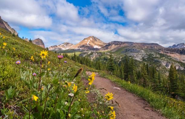 istock Scenic mountain view form a trail liined with wild flowers 1451704550