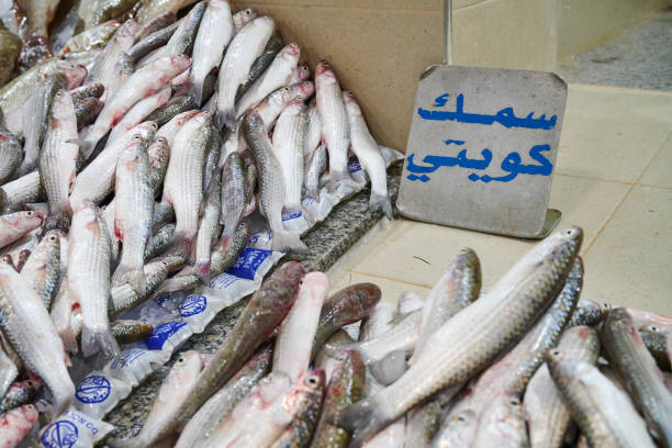 Kuwait City - 06 June 2022: fresh catch at the fish market of Souk Al-Mubarakiya. Kuwait City. Kuwait.
